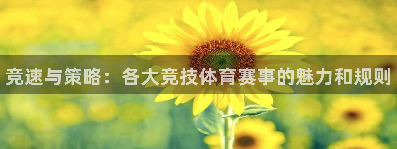 J9官方正版app五金厂:竞速与策略:各大竞技体育赛事的魅力