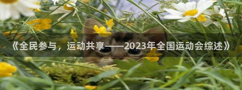 J9官网下载招商电话地址是多少:《全民参与,运动共享——20