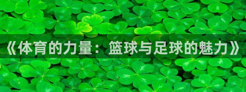 J9官网下载是干嘛的公司:《体育的力量:篮球与足球的魅力》